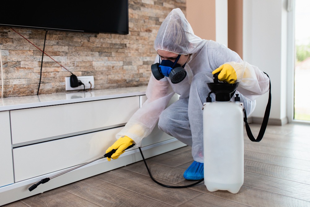 apa itu pest control? gambar seorang melakukan pest control di rumah