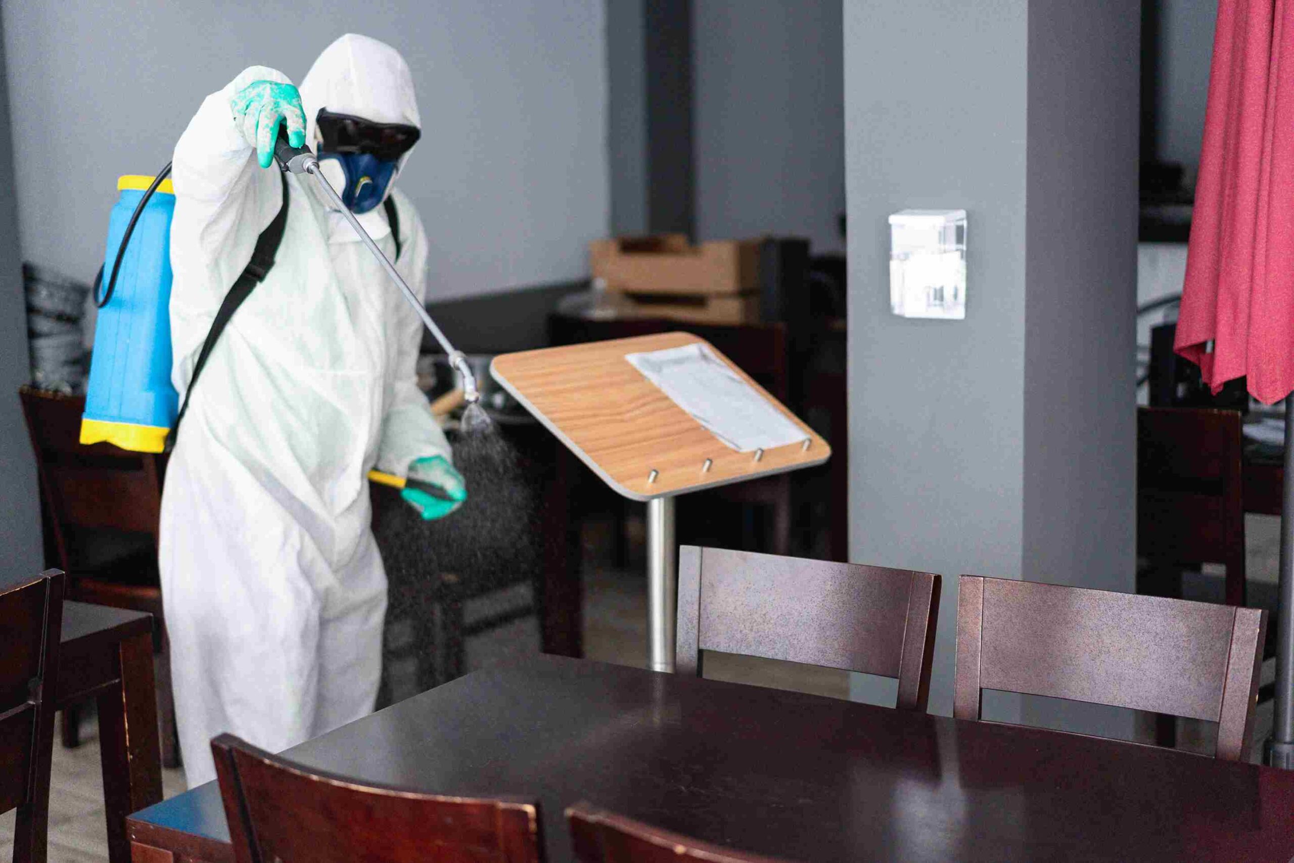 jadwal pest control ideal untuk restoran