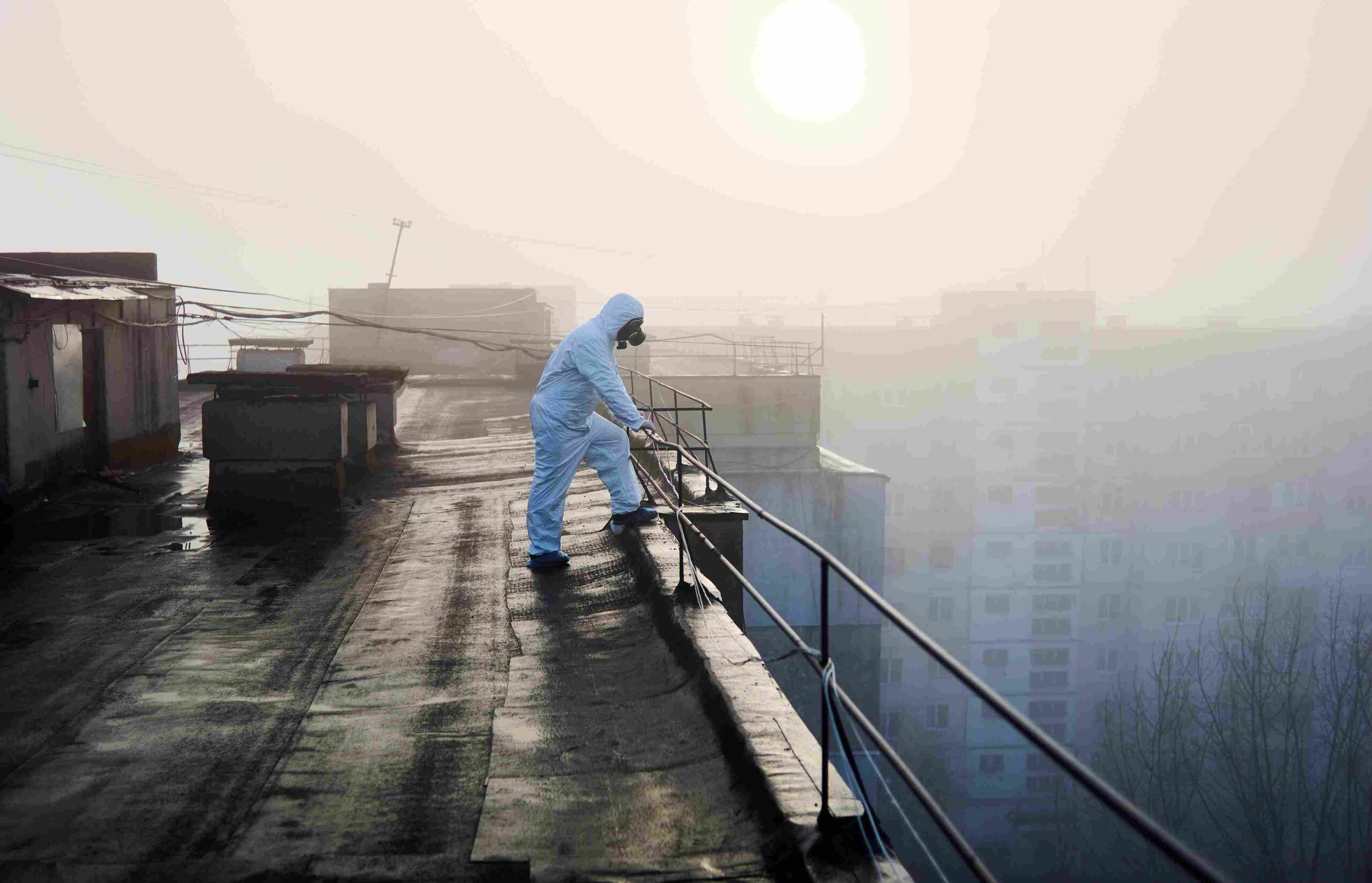 pest-control-preventif-vs-reaktif-untuk-gedung-perkantoran