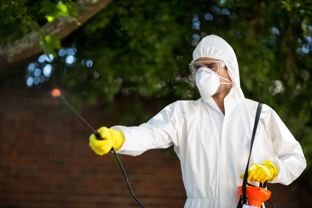 Jasa Pest Control Jakarta Profesional untuk Hunian & Bisnis