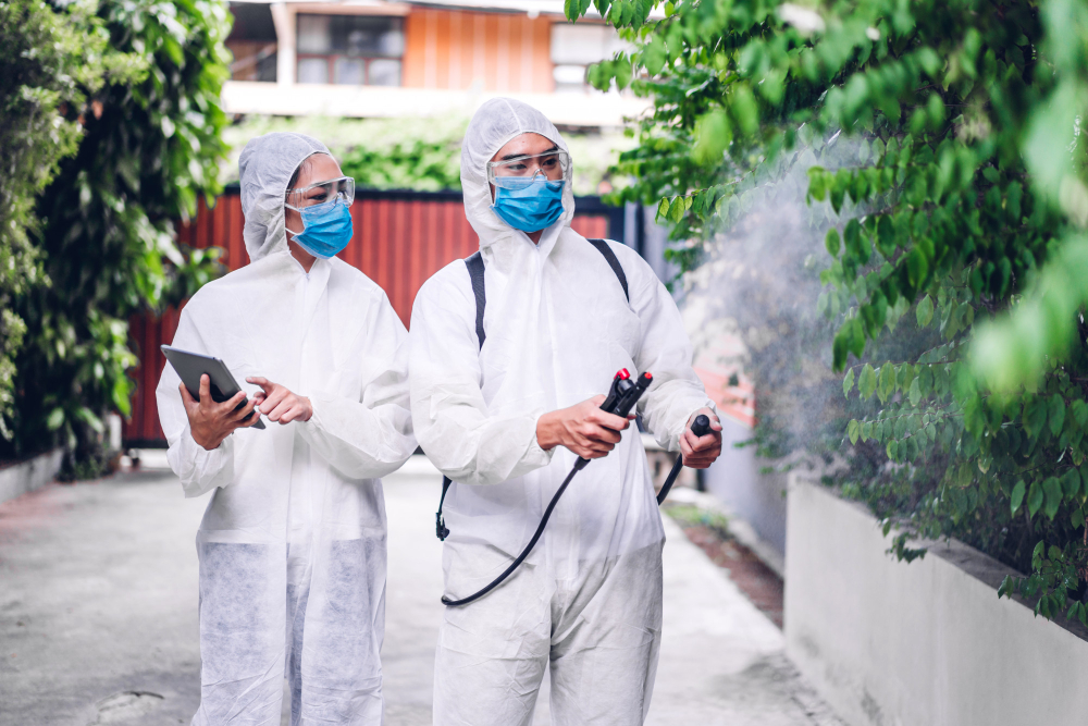 Solusi Pest Control untuk Pengelola Perumahan dan Developer