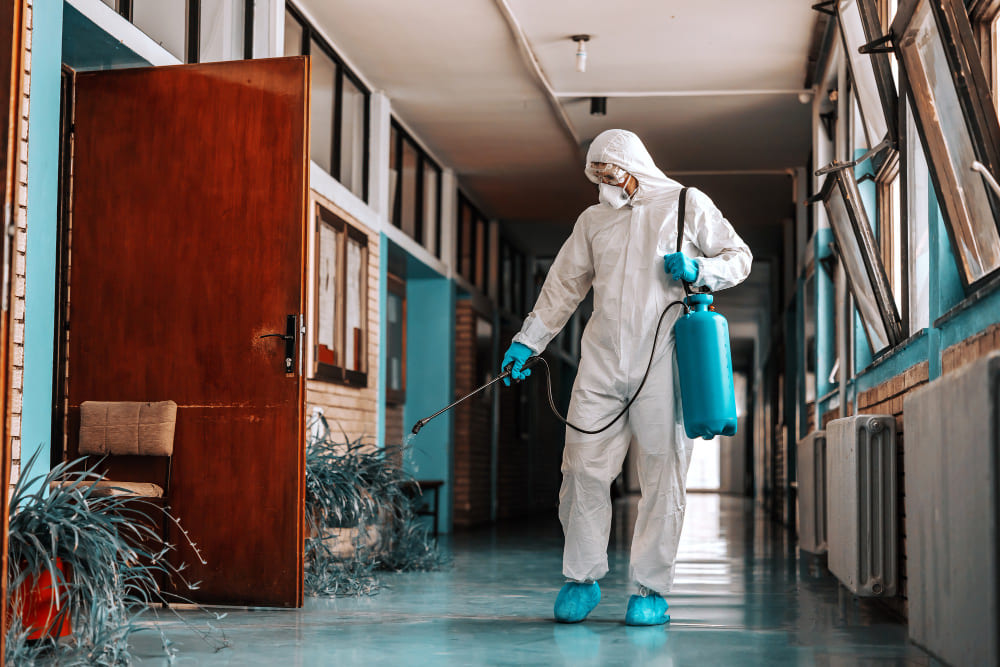 Pegawai pest control dengan hazmat sedang membersihkan gedung