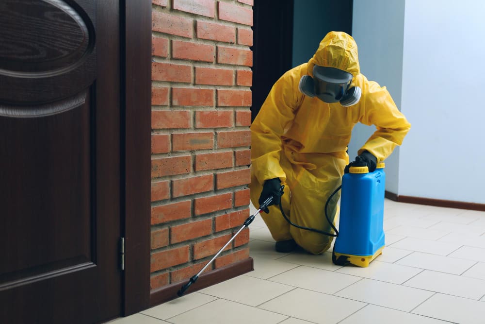 Pegawai pest control dengan hazmat sedang membersihkan ruangan dari rayap