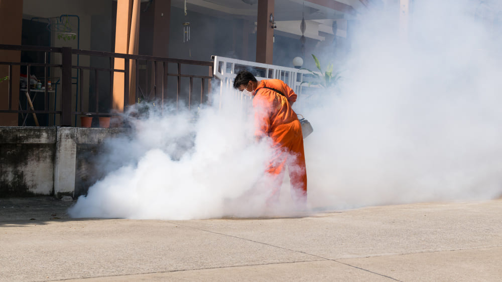 Fogging vs Misting Mana yang Tepat untuk Pest Control