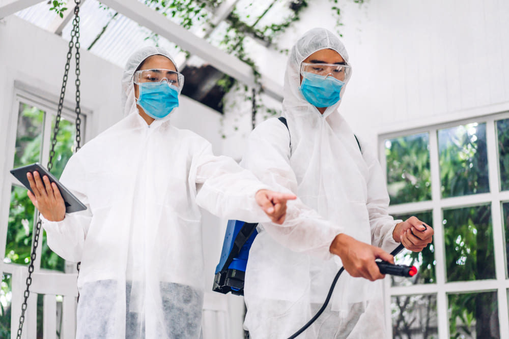 Intip Cara Kerja Teknisi Saat Survey Pest Control
